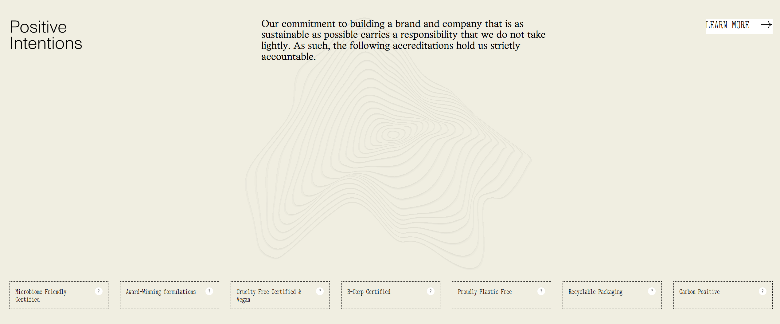 Wide landing section with large left heading, paragraph, subtle contour illustration, and a boxed Learn More button.