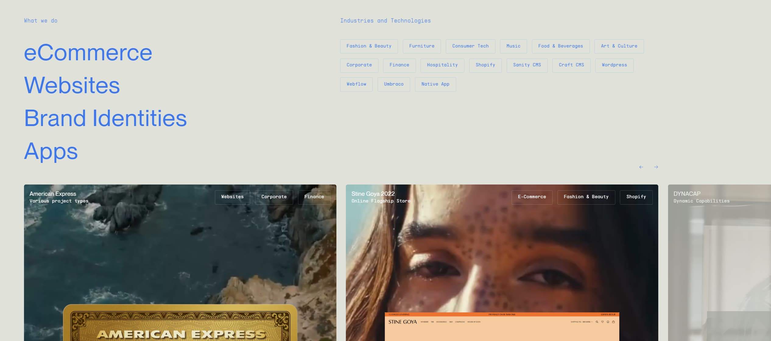 Website portfolio layout with large left-aligned blue headings and a grid of project thumbnails at the bottom.
